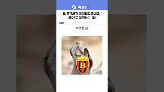 또 흑역사를 만든 축협과 연맹, 광주FC 징계 사가 1탄