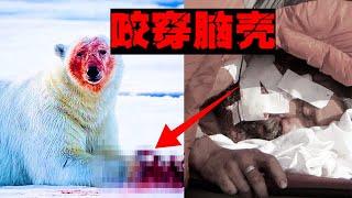 【北极熊吃人】被咬住听到骨裂的声音，把我当成另一种味道的肉【郑郑得证】