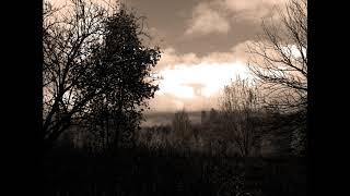 Dark Forest. Best photo of Dark. Karpatia mountains. Ukraine.