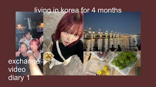 i am studying abroad ₊彡 | korea diaries 1