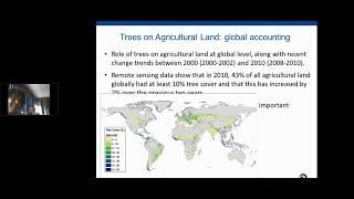 The mitigation potential of trees in agricultural areas