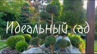 Garden со вкусом сливок. Идеальный сад. Я в гостях прекрасном саду Светланы.