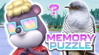 Creature Cases -  Can You Complete Our Final Challenge?  | Wetlands Level | Memory Games for Kids