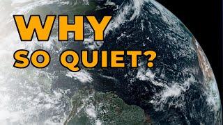 Why So Quiet? A Look at Why Things Have Gone Cold as of Late