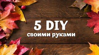  5 DIY  ОСЕННИЕ ПОДЕЛКИ СВОИМИ РУКАМИ