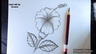 How To Draw a  Hibiscus Flower | Hibiscus Flower Drawing