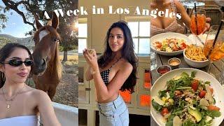 A Week in my Life in Los Angeles 