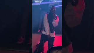 Wiz nice enough live