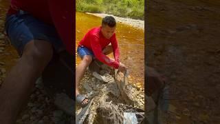 Discovery of gold mining carpet washed away during flood #goldmining #goldpanning