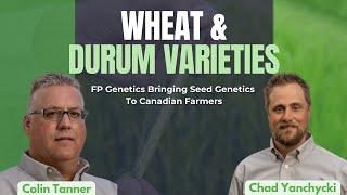 Product Spotlight: FP Genetics Wheat and Durum Varieties #agriculture #farming