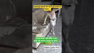 Jay ShriKrishna#viralvideo #motivation#harvarvardhan #shortvideo#truelinemotivatio#viralnow️