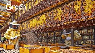 Bee Farming - How US Farmer Millions Tons Of Honey | Agriculture Technology