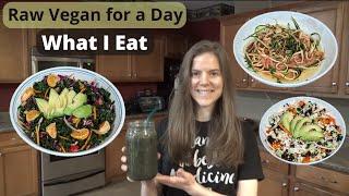 What I Eat - Raw Vegan for a Day - Goodbye Lupus Protocol