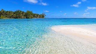 Tropical Relaxation: Waves Crashing on a Beautiful Sandbar in Paradise