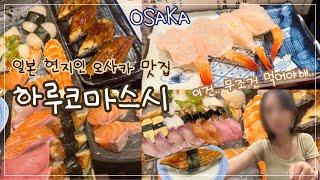 일본 오사카 현지인 찐찐 스시맛집!하루코마스시 본점에서 10만원치 먹다..