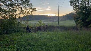 Mowing with Horses | Titus Morris’ Henson Creek School of Country Living