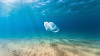 Learn Something New Every Day - The Hidden Cost of Plastic Bags (日日有新知 - 你知道塑膠袋很貴嗎？)