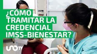 IMSS-Bienestar: paso a paso para tramitar la credencial