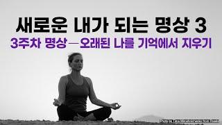 조 디스펜자의 "새로운 내가 되는 명상"(3주차 명상)   #브레이킹 #당신이라는습관을깨라 #새로운내가되는명상