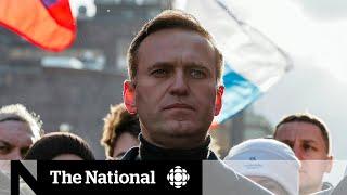 Putin critic Navalny poisoned by Novichok: Germany