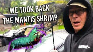 We took back Logan Paul's $6 Mantis Shrimp and gave it a new home...