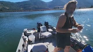 Chinook in the boat in under an hour. Drano Lake Fall Chinook and Coho. Bite is at 44 minutes.