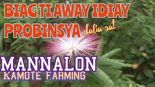 BIAG TI AWAY ITI KATALTALUNAN BIAG TI PROBINSYA/MARIA AURORA AURORA PROVINCE KEN SONATA TI ILOCANO