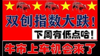 黑周五！A股大跌！但下周有低点！牛市上车机会又来了！（2024.11.15股市分析）