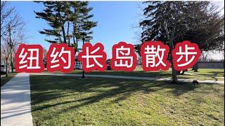 美国生活，纽约长岛的环境和法拉盛有什么不同？Discovering the Beauty of Nassau County through Walking