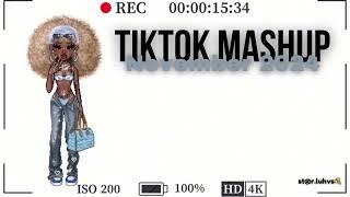 TikTok Mashup Nov.2024(not clean)🩵🫐