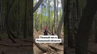 Чудеса природы в трех часах езды от Москвы