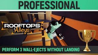 Rooftops & Alleys - Professional  Trophy / Achievement Guide