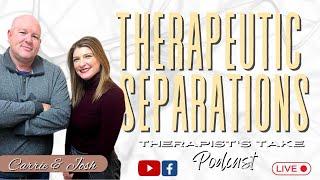 Therapists’ Take on Therapeutic Separations: Healing Through Space