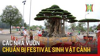 Các nhà vườn chuẩn bị cho Festival Sinh vật cảnh  | Tin tức