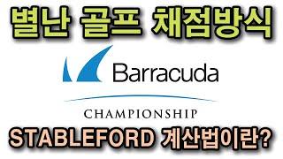 골프 리포트-Stableford Format? PGA Tour 배라쿠다 챔피언쉽의 채점방식은?