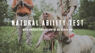 NAVHDA Natural Ability Test - An Inside Look