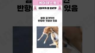 ISFP가 본 ENTP 특징 (Feat. MBTI)