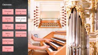 BACH's First Organ at YOUR HOME! - Wender Organ Arnstadt (II/21) Sampleset for Hauptwerk - Paul Fey