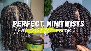 The only minitwist tutorial that you will ever need. Minitwists on natural hair.