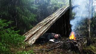 ️Camping in RELAXING RAIN: A Cozy Shelter in Heavy Rain (ASMR Rainy Forest)