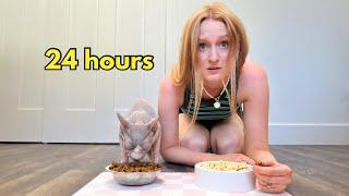 I Lived Like My Cat For 24 Hours