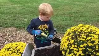 Helping Grammy plant mums