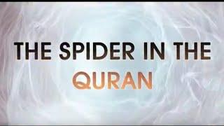 *The Spider In The Quran* Science Confirms The Claim