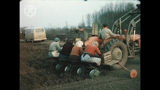 1960er - Marchfeld - Erdäpfelsetzen - Kartoffelanbau - Feldarbeit - Landwirtschaft - 1960s - Austria