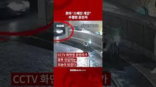 로마 스페인 계단을 차량으로 내려온 운전자 #bbc #bbc코리아