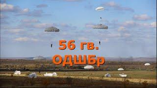 ВДВ России. 56-ая гвардейская ОДШБр  (отдельная десантно-штурмовая бригада).