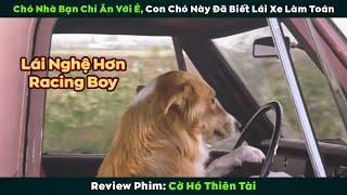 [Review Phim] Chú Chó Thiên Tài Biết Lái Xe Oto, 1 Mình Lùa Băng Đẳng Xã Hội Thâm Như Lùa Vịt