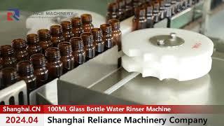 Automatic 100ML Amber Glass Dropper Bottle Washing Cleaning Machine RELIANCE MACHINERY