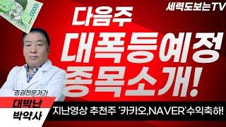 [다음주 폭등핵심주 소개]카카오페이/카카오/NAVER/YGPLUS/LS마린솔루션/우리기술/한국금융지주/SK/코오롱/한국카본/코리아나/고영/삼성전자/솔트룩스/스테이블코인/Ai/지주사