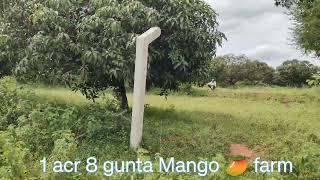 204 :-)  1 acr 8 gunta  Mango farm, Ramanagara, final price 1.75 L/g,  Prashanth  63647 32704